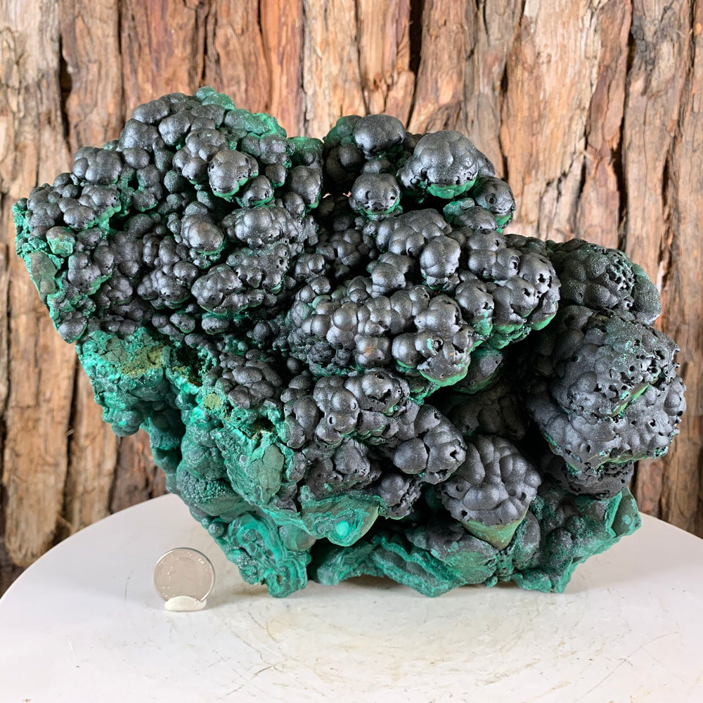 25.5cm 6.41kg Botryoidal Malachite from Sepon Mine, Laos