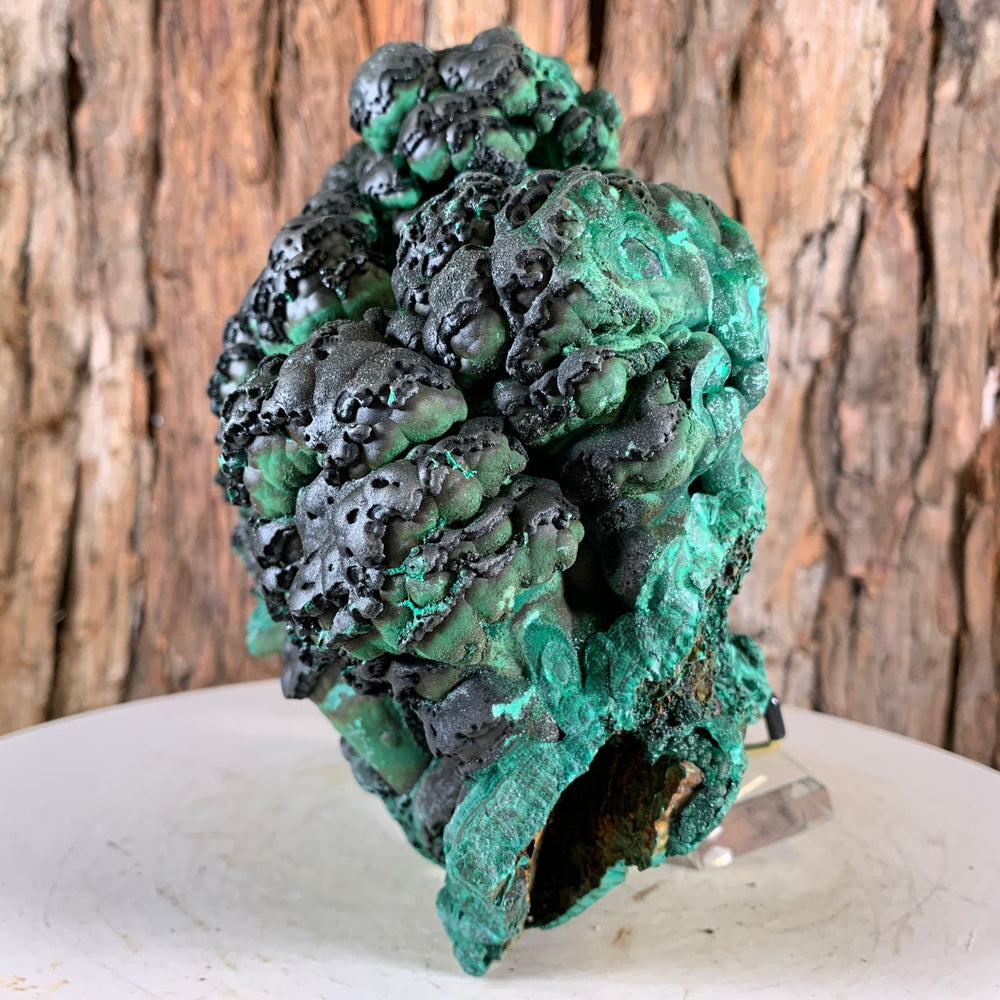 25.5cm 6.41kg Botryoidal Malachite from Sepon Mine, Laos