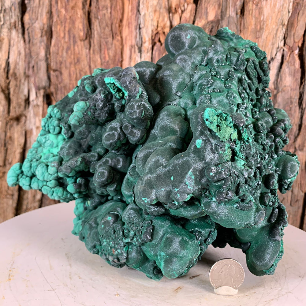 
            
                Load image into Gallery viewer, 23cm 4.58kg Botryoidal Malachite from Sepon Mine, Laos
            
        