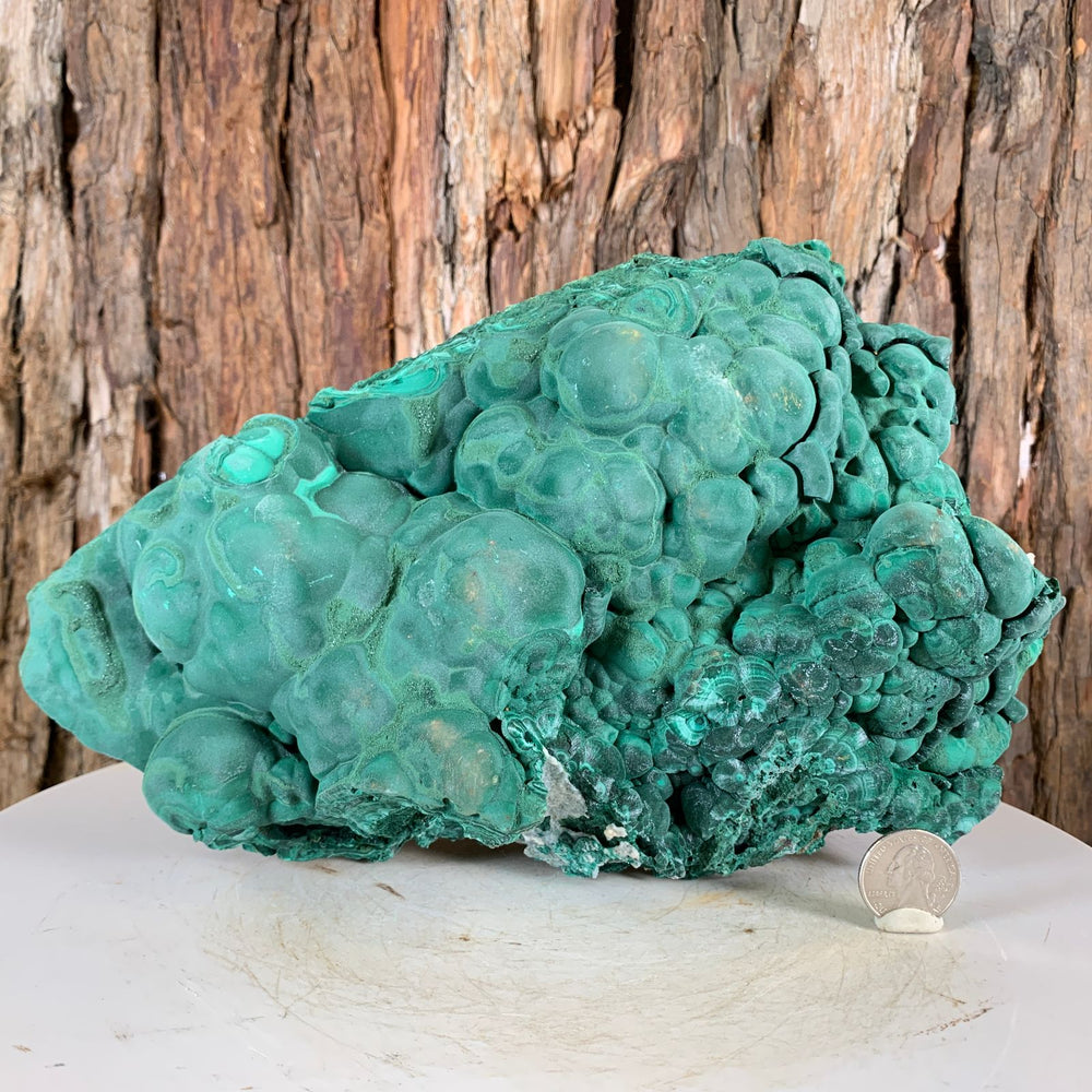26.5cm 4.56kg Botryoidal Malachite from Sepon Mine, Laos