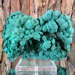 20cm 2.06kg Botryoidal Malachite from Sepon Mine, Laos
