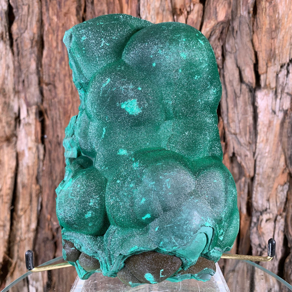 17cm 2.24kg Botryoidal Malachite from Sepon Mine, Laos