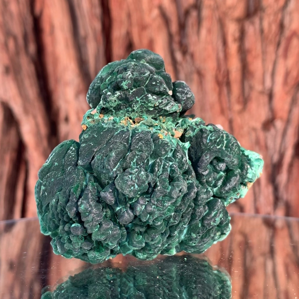 7.5cm 218g Malachite from Sepon Mine, Laos