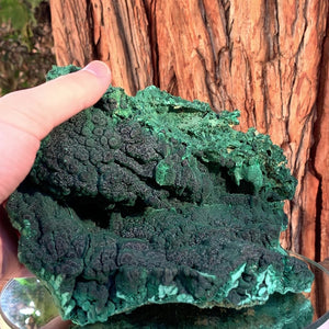 22cm 2.4kg Malachite from Sepon Mine, Laos