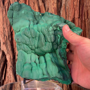 23cm 2.52kg Malachite from Sepon Mine, Laos