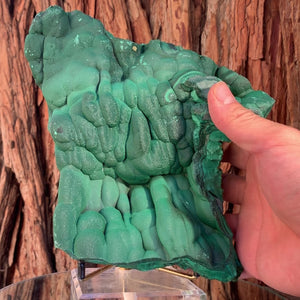 
            
                Load image into Gallery viewer, 23cm 2.52kg Malachite from Sepon Mine, Laos
            
        