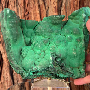 19.5cm 3.07kg Malachite from Sepon Mine, Laos