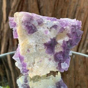 8cm 180g Purple Fluorite from Sanming, Zhejiang, China