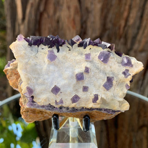 9cm 200g Purple Fluorite from Sanming, Zhejiang, China