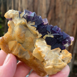 9cm 200g Purple Fluorite from Sanming, Zhejiang, China