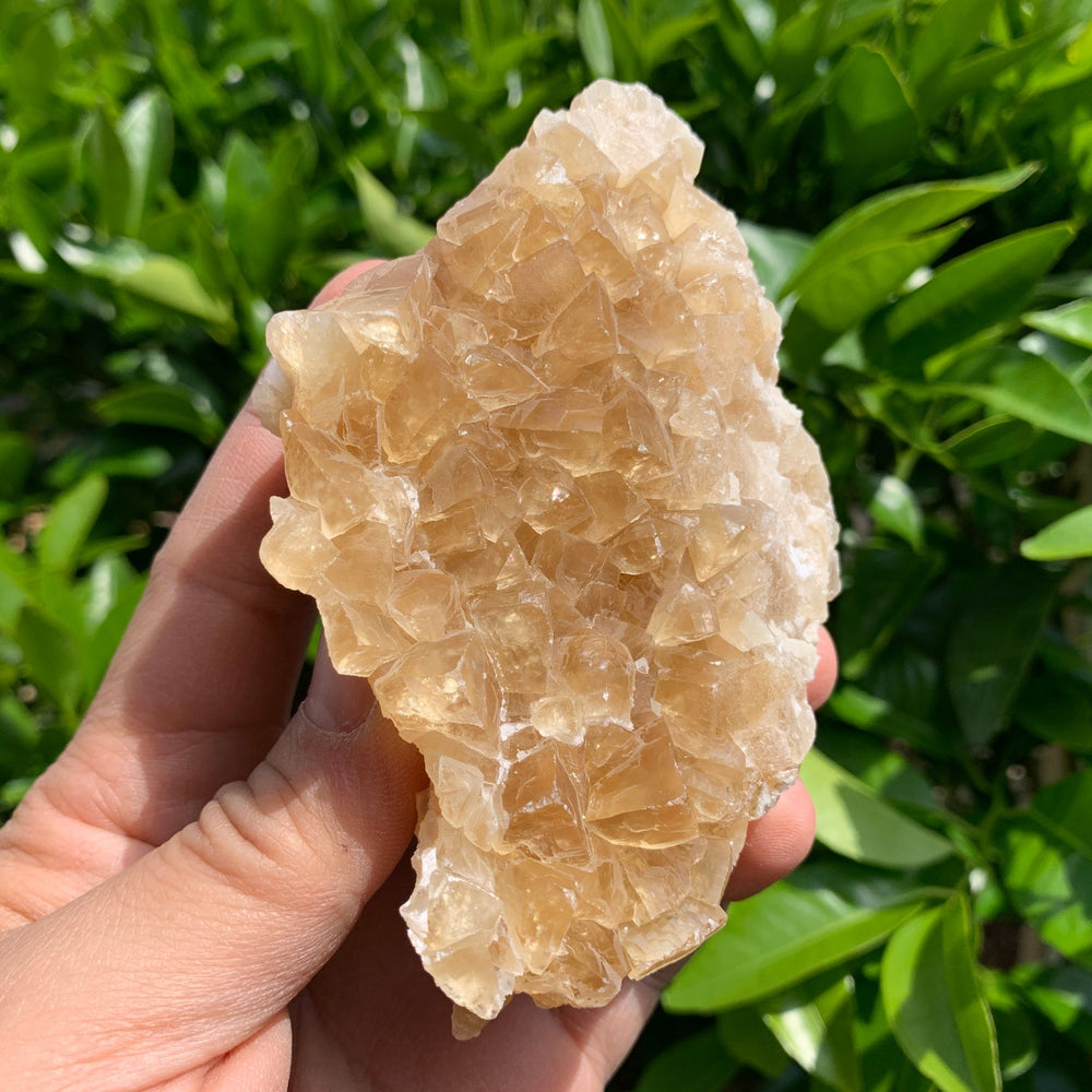 11.5cm 332g Golden Honey Yellow Calcite from Fujian, China