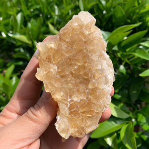 11.5cm 332g Golden Honey Yellow Calcite from Fujian, China