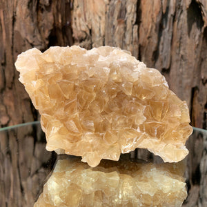11.5cm 332g Golden Honey Yellow Calcite from Fujian, China