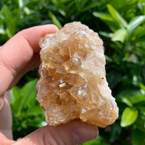 7.5cm 192g Golden Honey Yellow Calcite from Fujian, China