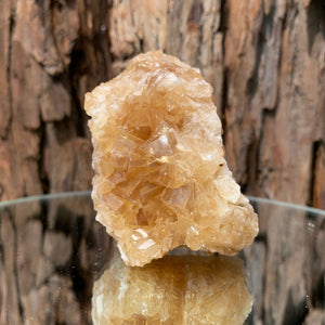 7.5cm 192g Golden Honey Yellow Calcite from Fujian, China