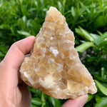 10.2cm 242g Golden Honey Yellow Calcite from Fujian, China