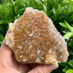 11.5cm 404g Golden Honey Yellow Calcite from Fujian, China