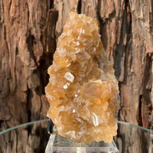 13cm 368g Golden Honey Yellow Calcite from Fujian, China