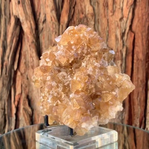 15cm 734g Golden Honey Yellow Calcite from Fujian, China