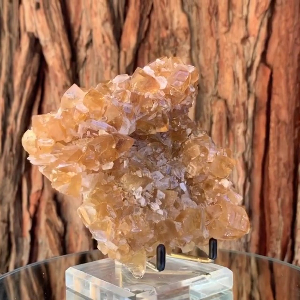 15cm 734g Golden Honey Yellow Calcite from Fujian, China