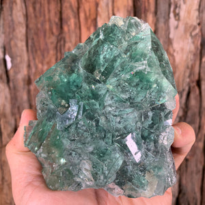 11cm 990g Clear Green Fluorite from Xianghualing Mine, China