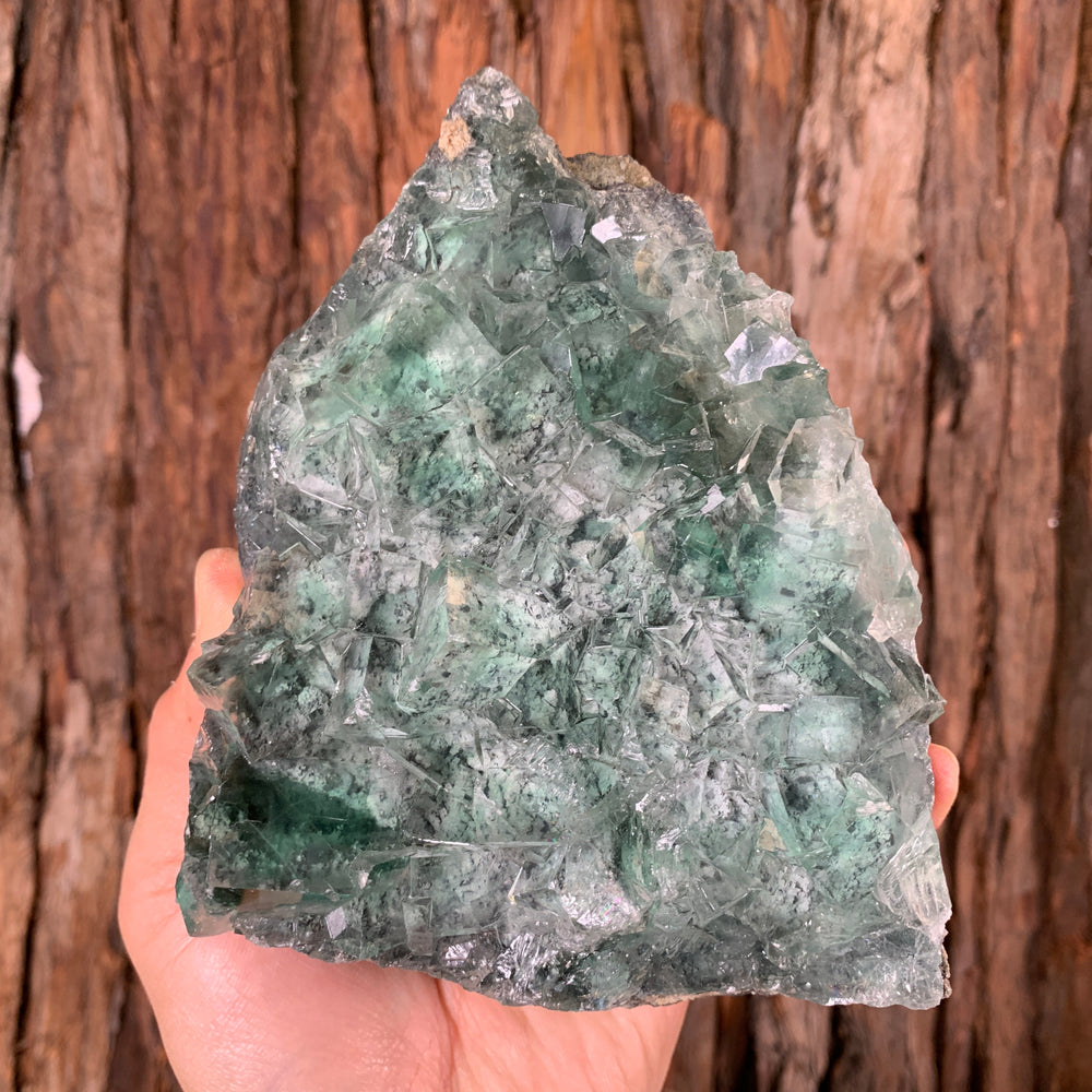 17cm 1.3kg Clear Green Fluorite from Xianghualing Mine, China