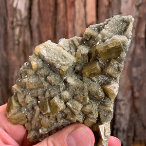 12cm 338g Golden Barite on Fluorite Matrix from Xiefang Mine, Jiangxi, China