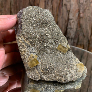 12cm 614g Golden Barite, Pyrite on Fluorite Matrix from Xiefang Mine, Jiangxi, China