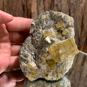 10cm 488g Golden Barite, Pyrite from Xiefang Mine, Jiangxi, China