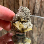 4.5cm 24g Golden Barite, Pyrite on Fluorite Matrix from Xiefang Mine, Jiangxi, China