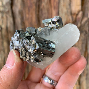 6.3cm 166g Pyrite and Quartz from Yaogangxian, China
