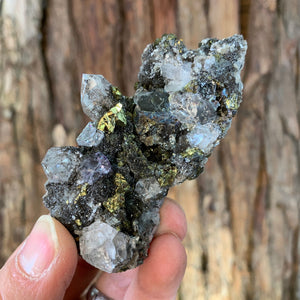 8cm 102g Pyrite and Quartz from Yaogangxian, China