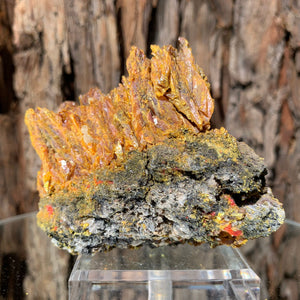 9cm 310g Orpiment from Hunan, China