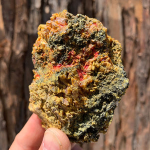 
            
                Load image into Gallery viewer, 7.5cm 240g Orpiment and Realgar from Hunan, China
            
        