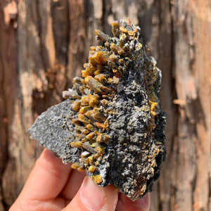 8.5cm 168g Orpiment from Hunan, China
