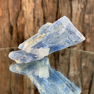 8.5cm 106g Kyanite with Quartz Crystal from Brazil