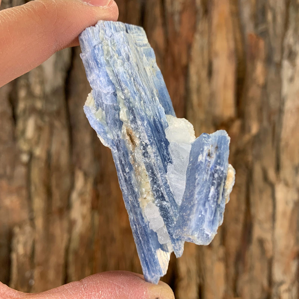 8.5cm 106g Kyanite with Quartz Crystal from Brazil