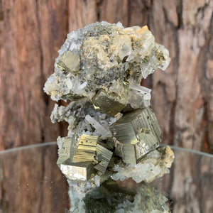 8.2cm 308g Pyrite and Clear Quartz from Hubei, China