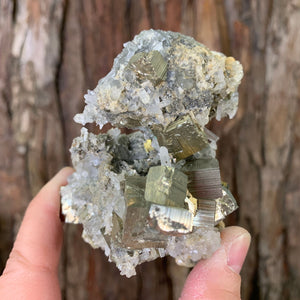 8.2cm 308g Pyrite and Clear Quartz from Hubei, China