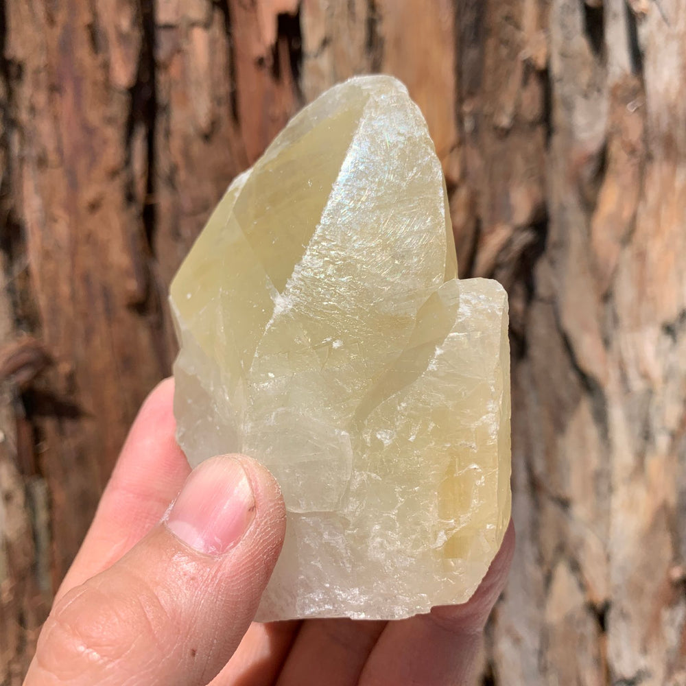 7.5cm 260g Yellow Calcite from Hunan, China