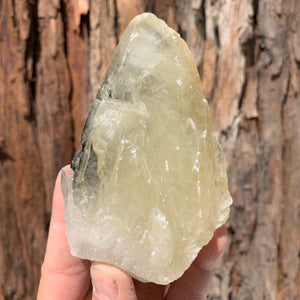11.5cm 520g Yellow Calcite from Hunan, China