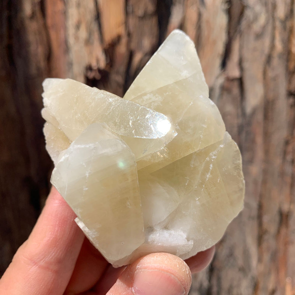 
            
                Load image into Gallery viewer, 7cm 226g Yellow Calcite from Hunan, China
            
        
