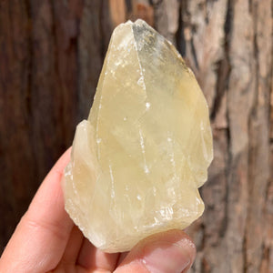 
            
                Load image into Gallery viewer, 8.5cm 224g Yellow Calcite from Hunan, China
            
        