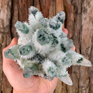 12cm 1kg Lab Grown Phantom Clear Green Quartz