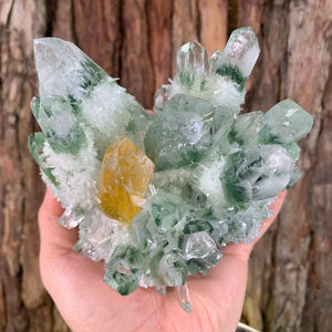 12cm 1.19kg Lab Grown Phantom Clear Green Yellow Quartz