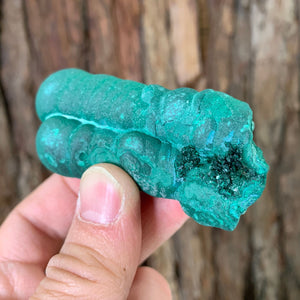 8cm 136g Malachite Stalactite from Sepon Mine, Laos