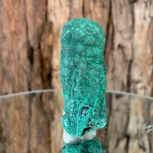 7cm 142g Malachite Stalactite from Sepon Mine, Laos