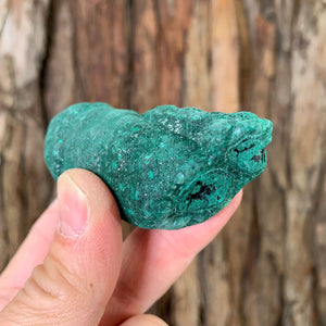 7cm 142g Malachite Stalactite from Sepon Mine, Laos