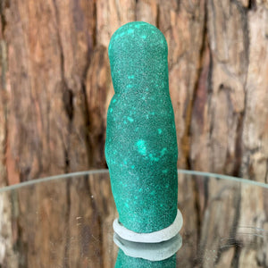 
            
                Load image into Gallery viewer, 7.7cm 146g Malachite Stalactite from Sepon Mine, Laos
            
        