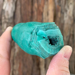 6.8cm 208g Malachite Stalactite from Sepon Mine, Laos